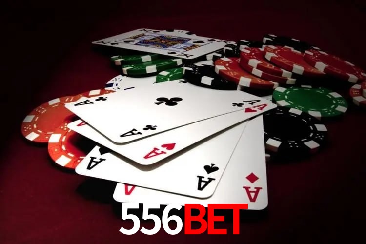 Experiência VIP 556BET